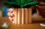 LEGO BOTANICALS 11504 Skrzydłokwiat