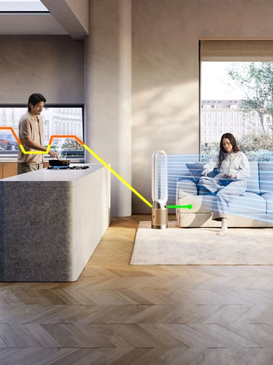 Oczyszczacz powietrza DYSON Purifier Cool PC2 De-No