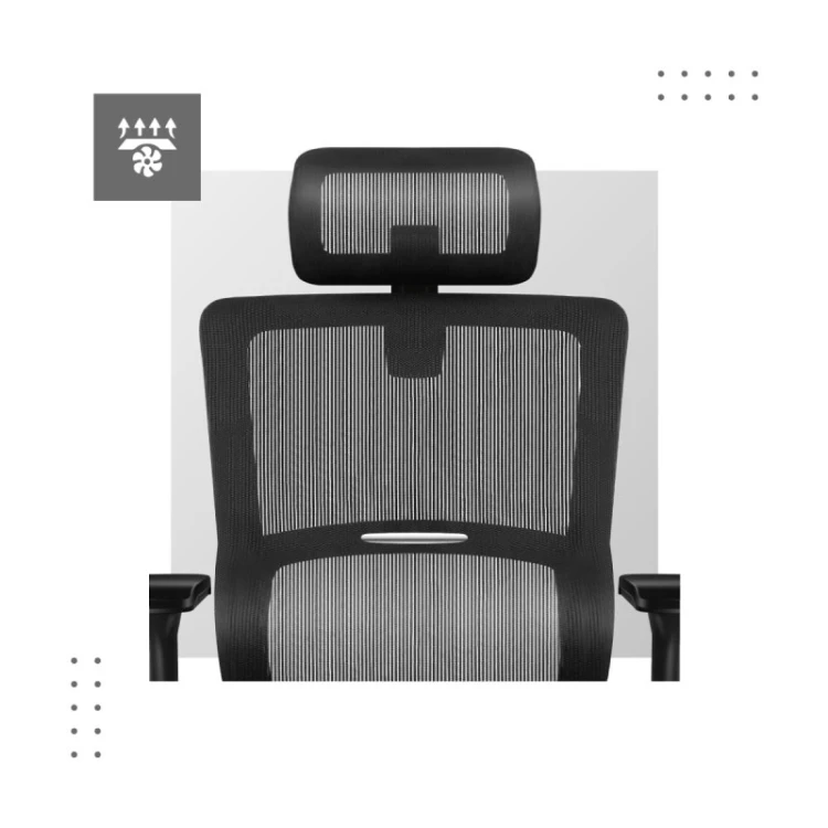 Fotel ergonomiczny Expert 6.2