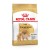 ROYAL CANIN BHN Pomeranian Adult - sucha karma dla psa dorosłego - 3kg