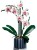 LEGO Icons 10311 - Orchidea