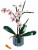 LEGO Icons 10311 - Orchidea