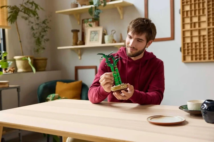 LEGO Botanical Collection 10344 - Dracena sandera