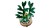 LEGO Botanical Collection 10344 - Dracena sandera