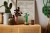 LEGO Botanical Collection 10344 - Dracena sandera