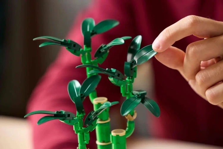 LEGO Botanical Collection 10344 - Dracena sandera