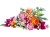 LEGO Botanical Collection 10342 - Piękny bukiet różowych kwiatów