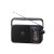 Panasonic RF-2400D Przenośny Analogowy Czarny