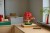 LEGO Botanical Collection 10348 - Klon palmowy Bonsai