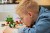 LEGO ANIMAL CROSSING 77048 Rejs dookoła wyspy Kapp’n