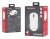 GENESIS Zircon 660 myszka Gaming Po prawej stronie RF Wireless + Bluetooth + USB Type-A Optyczny 12000 DPI