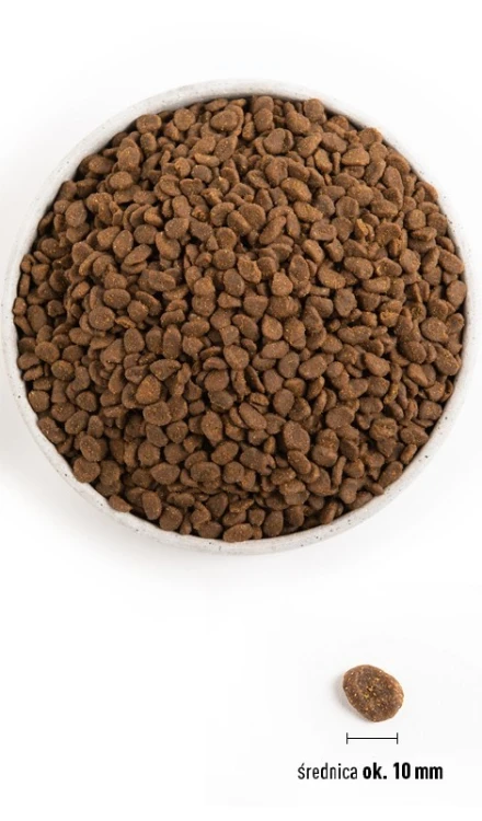 ORIJEN Cat 6 Ryb 5,4kg