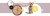 3Coty TURKEY + GOOSE for Kittens 180g