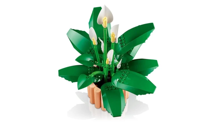 LEGO Botanical Collection 11504 - Skrzydłokwiat