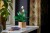 LEGO Botanical Collection 11504 - Skrzydłokwiat