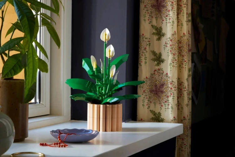 LEGO Botanical Collection 11504 - Skrzydłokwiat