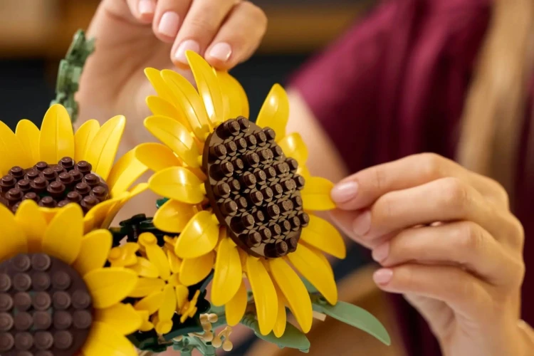 LEGO Botanicals 11502 - Bukiet słoneczników