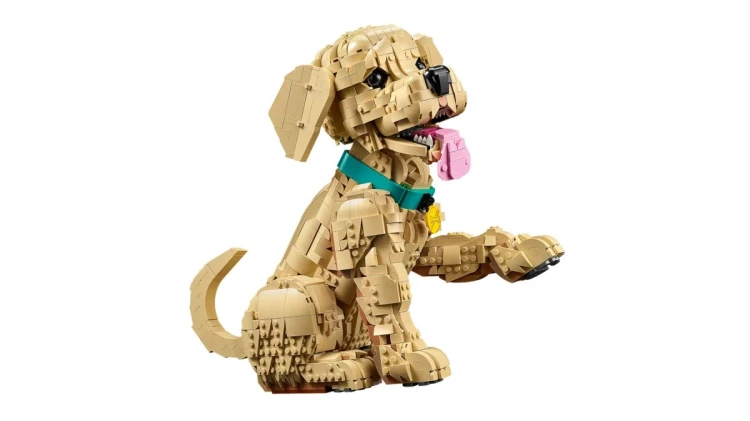 LEGO 11384 Icons - Szczeniak golden retriever