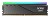 Pamięć RAM DIMM 32GB DDR5-6000 K2/AX5U6000C3616G-DTLABRBK ADATA