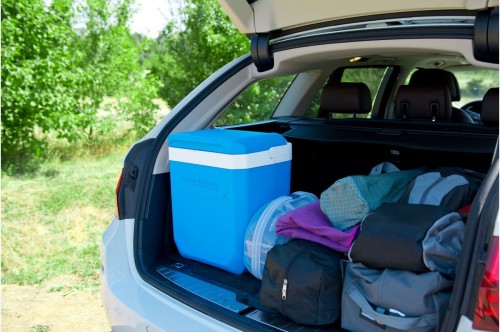 Campingaz Icetime Plus 26L lodówka podróżna Niebieski