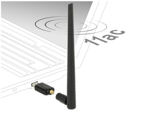 DeLOCK 12535 karta sieciowa RF Wireless