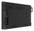 AG neovo TTN-4301 109,2cm        black (Speditionsversand)