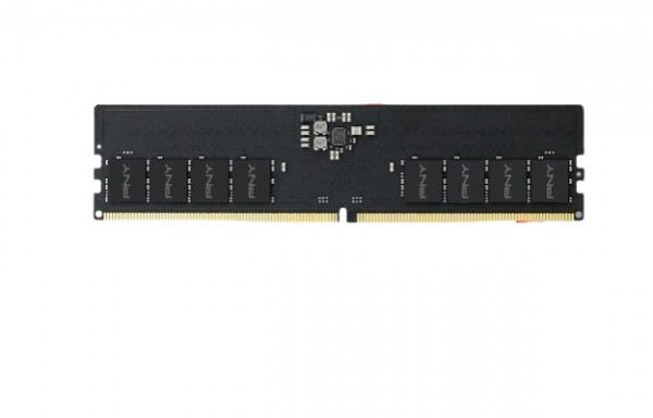 Pamięć RAM PNY 16GB DDR5 5600MHz CL46 bulk