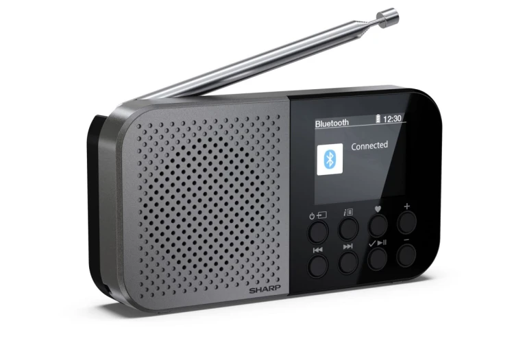 Sharp DR-P520 Osobisty Cyfrowy Szary
