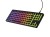 GENESIS Thor 430 TKL klawiatura Gaming USB QWERTY US English Czarny