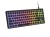 GENESIS Thor 430 TKL klawiatura Gaming USB QWERTY US English Czarny