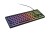 GENESIS Thor 430 TKL klawiatura Gaming USB QWERTY US English Czarny