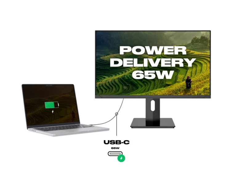 Monitor JAPANNEXT 60,5 cm JN-IPS2380UHDR-C65W-HSP 16:9 HDMI/DP UHD