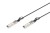 Digitus Kabel SFP + 10G 2m DAC