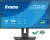MONITOR IIYAMA LED 23,8" XB2492HSU-B1 120Hz