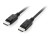 Equip 119339 kabel DisplayPort 10 m Czarny