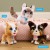 FurReal Wag-a-lots Kitty