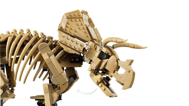 LEGO JURASSIC WORLD 77985 Szkielety dinozaurów: triceratops