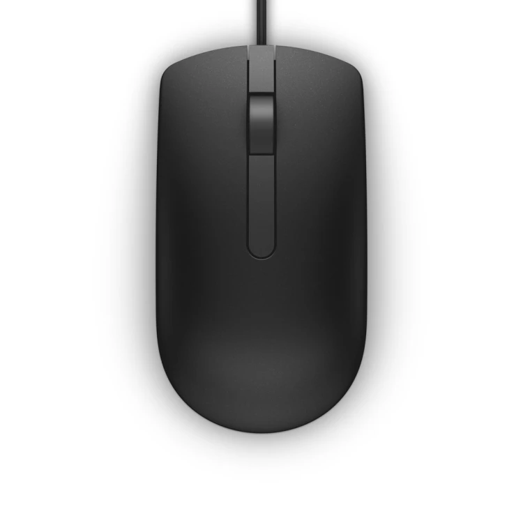 DELL MS116 myszka Oburęczny USB Typu-A Optyczny 1000 DPI