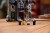 LEGO Icons 11383