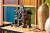LEGO Icons 11383