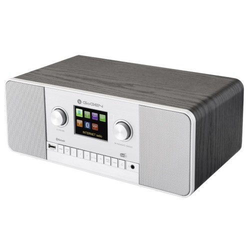 GoGen IR 257 BTDAB Internet Cyfrowy Srebrny