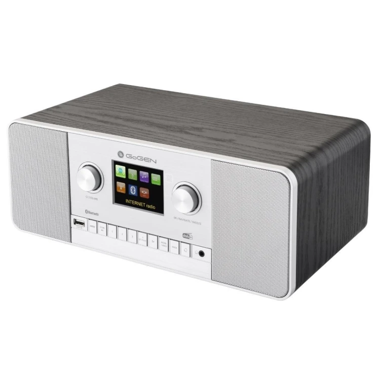 GoGen IR 257 BTDAB Internet Cyfrowy Srebrny