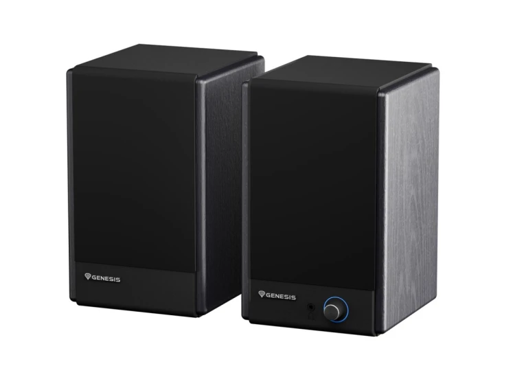 GENESIS ARSEN 402BT 2-drożny Czarny Przewodowy i Bezprzewodowy 60 W