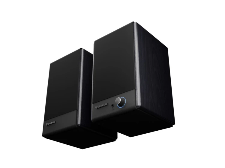 GENESIS ARSEN 402BT 2-drożny Czarny Przewodowy i Bezprzewodowy 60 W