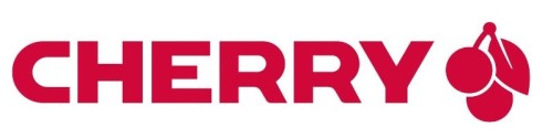 Klawiatura CHERRY DW 3000 z dołączoną myszką, RF Wireless, QWERTZ, Niemiecki, Szary
