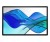HP Series 5 Pro 14-calowy monitor przenośny Pro z serii 5 WQXGA – 514pn