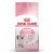 ROYAL CANIN Kitten 36 - sucha karma dla kota - 2 kg