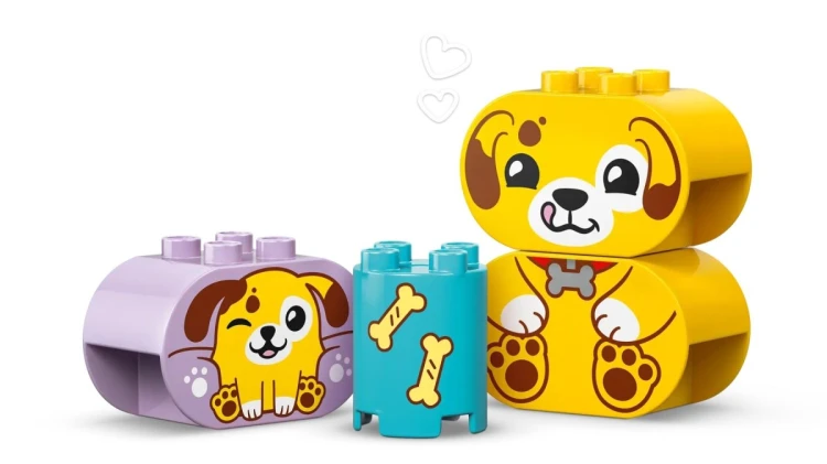 LEGO Duplo 10441 - Sorter kształtów: dom szczeniaczków