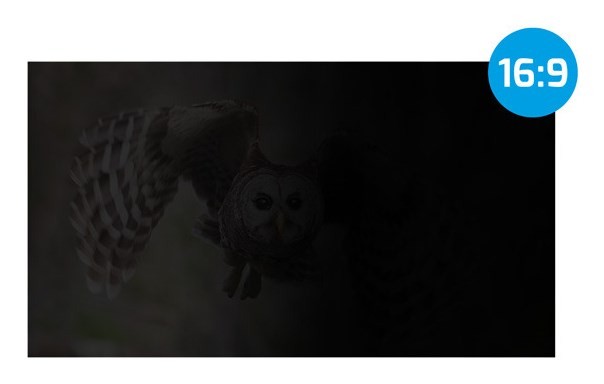 NATEC FILTR PRYWATYZUJĄCY OWL 17.3" 16:9