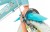 Rower dziecięcy TOIMSA Bluey 12" Błękitno-limonkowy